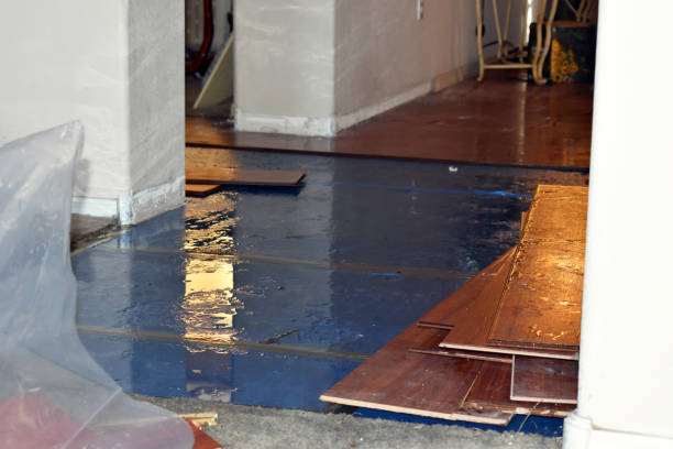 Professional Basement Water Removal technician working in Richton, MS