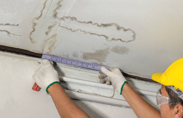 Reliable Basement Water Removal contractor in Richton, MS by Water Damage Irwin